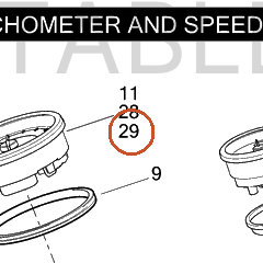 Harley-Davidson Speedo, Dual