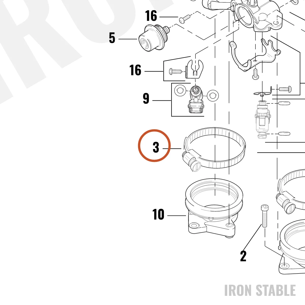 Harley-Davidson Clamp, Hose