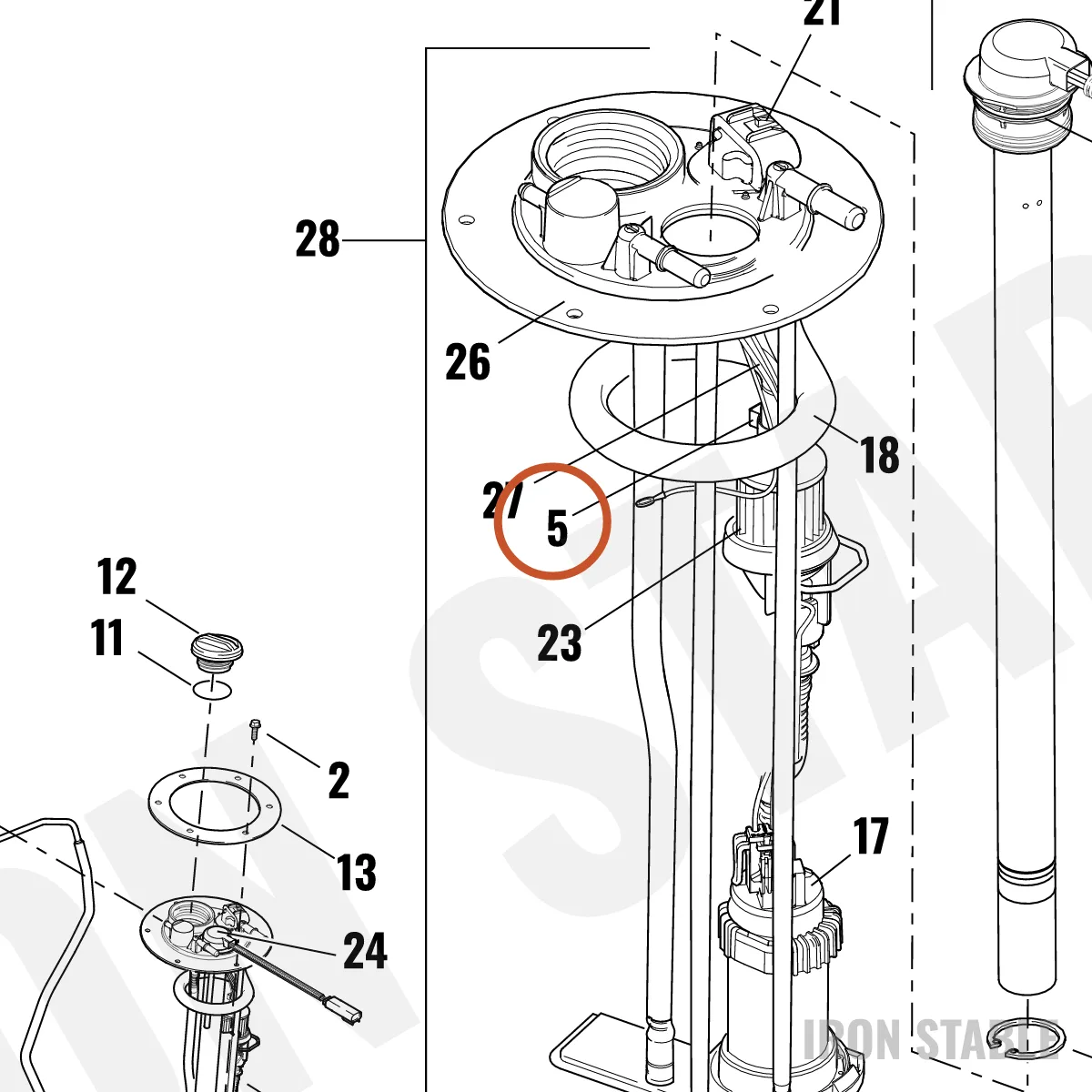 Harley-Davidson Clamp, Hose