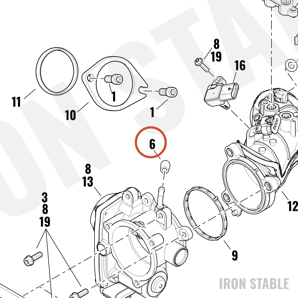 Harley-Davidson Plug, Purge Tube Cap