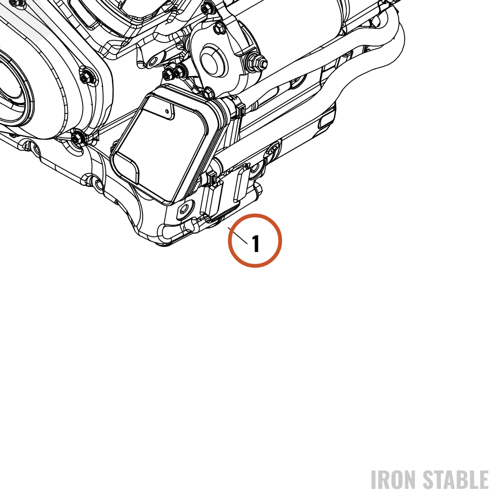 Harley-Davidson Powertrain Assembly, 1250l, Blk/Blk,