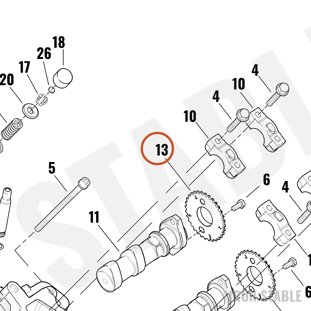 Harley-Davidson Sprocket, Cam