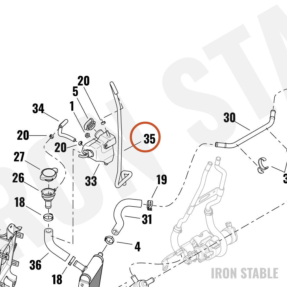 Harley-Davidson Hose, Coolant Overflow