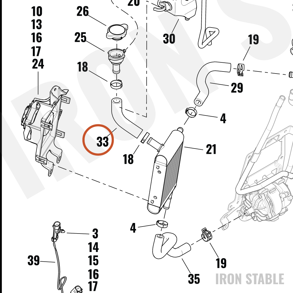 Harley-Davidson Hose, Rdtr, Coolant