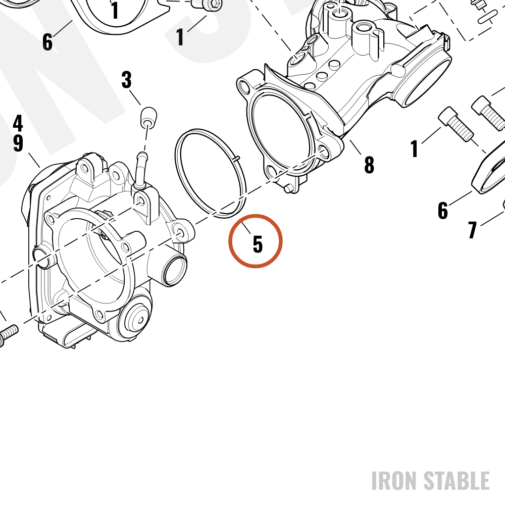 Harley-Davidson Gasket, Throttle Body/Manifold