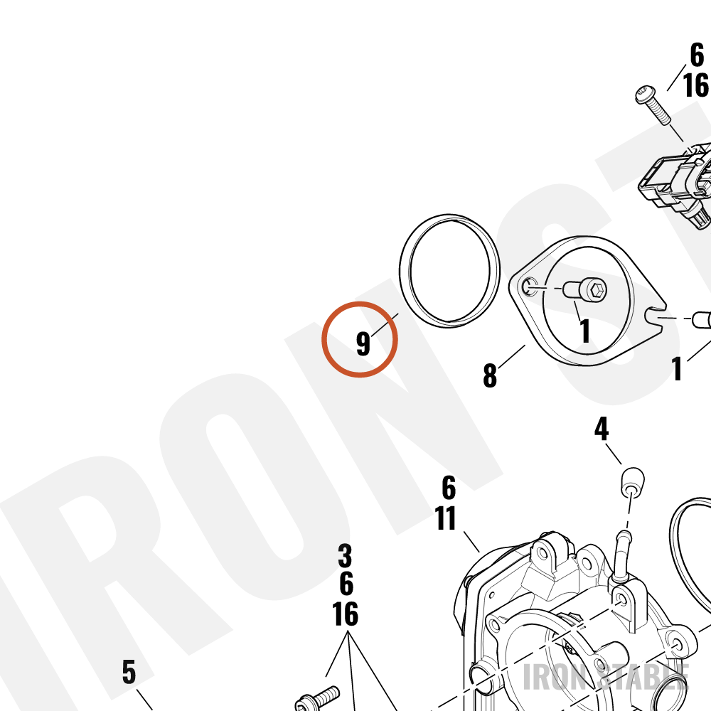 Harley-Davidson Seal, Intk Manf-Cyl Head, X