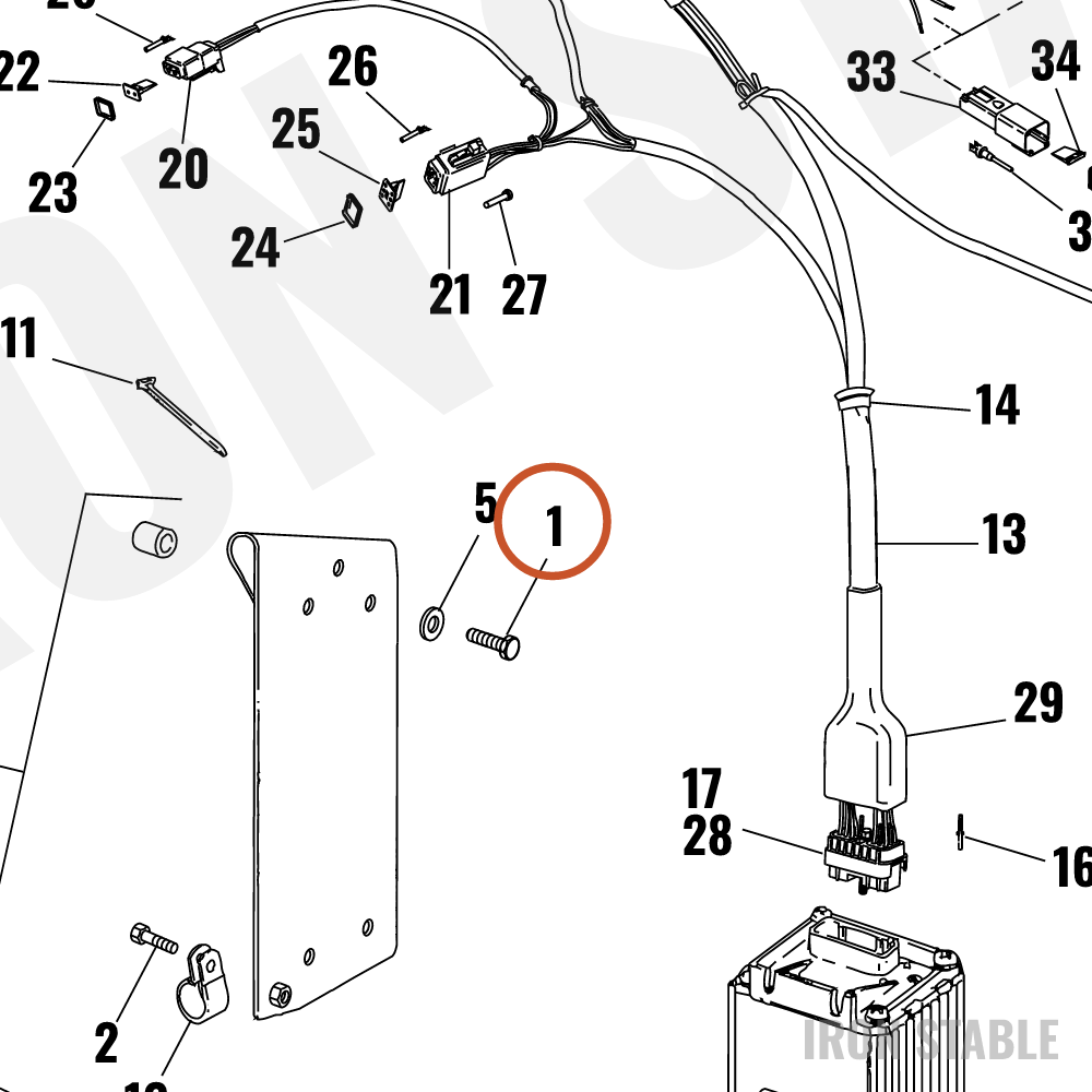Harley-Davidson Screw Hex Cap
