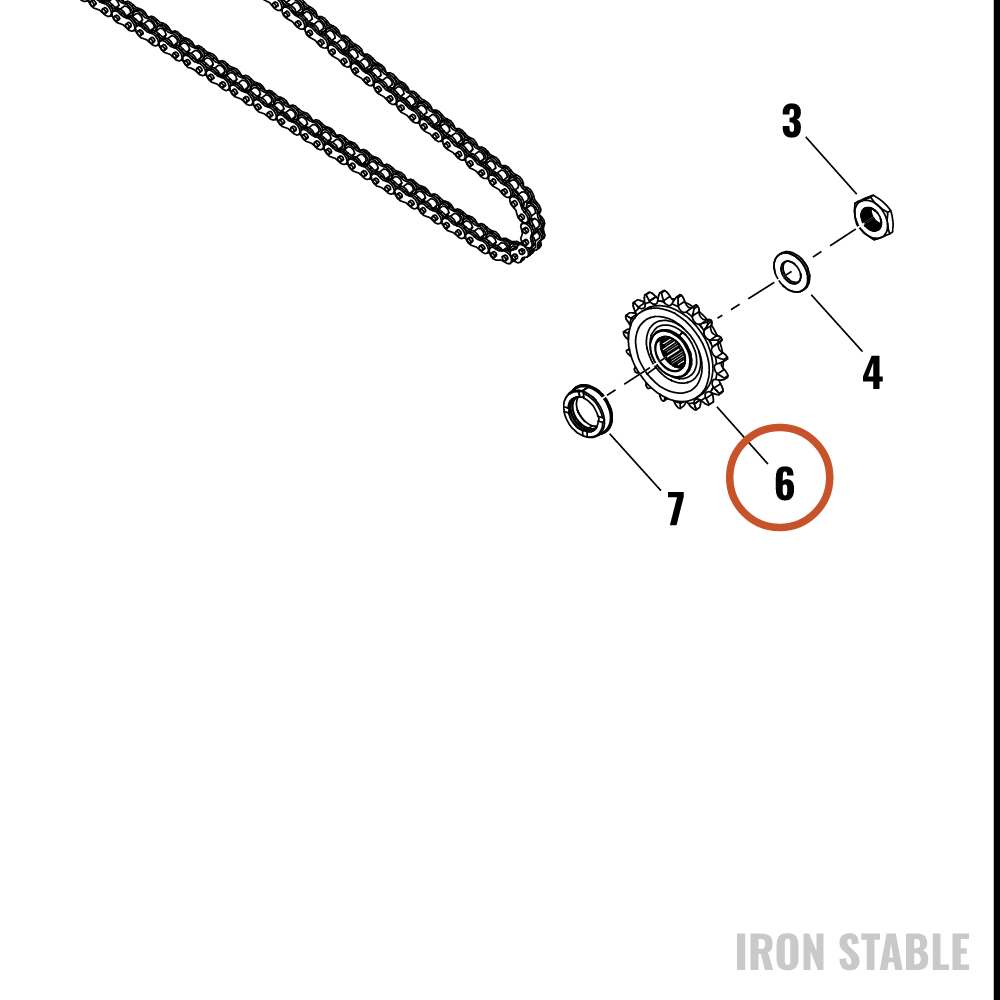 Harley-Davidson Sprocket, Xmsn Out, 19t Chain Sp