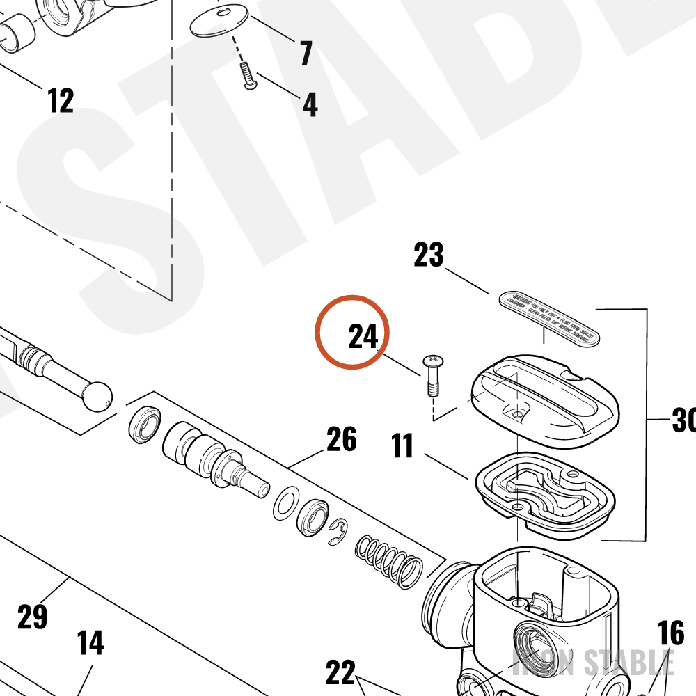 Harley-Davidson Screw, Brite/Master
