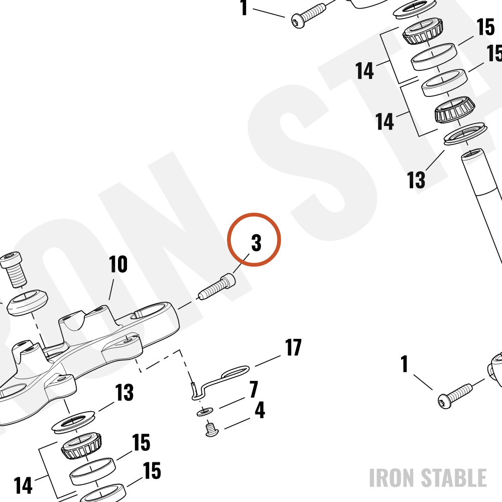 Harley-Davidson Screw, Tapping Torx