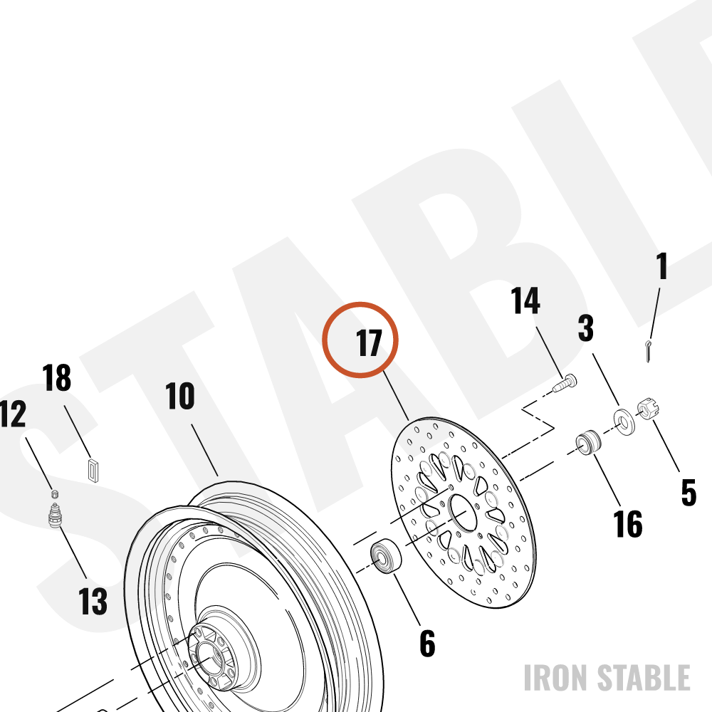 Harley-Davidson Kit-Brake Disc, Rr
