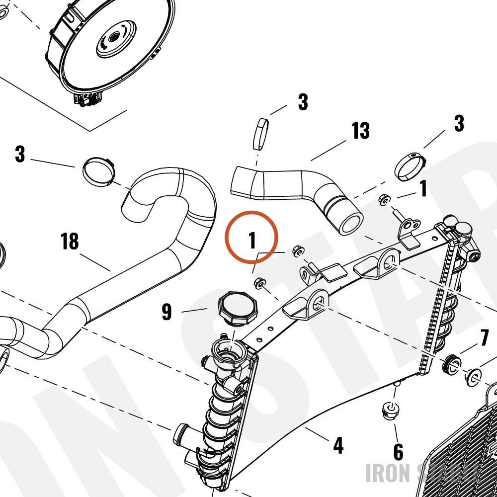 Harley-Davidson Flange Nut, Hex/Lock