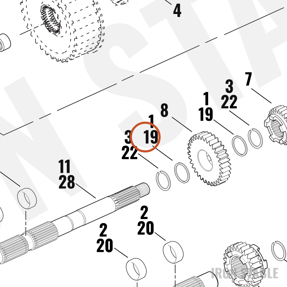 Harley-Davidson Thrustwasher, Trans