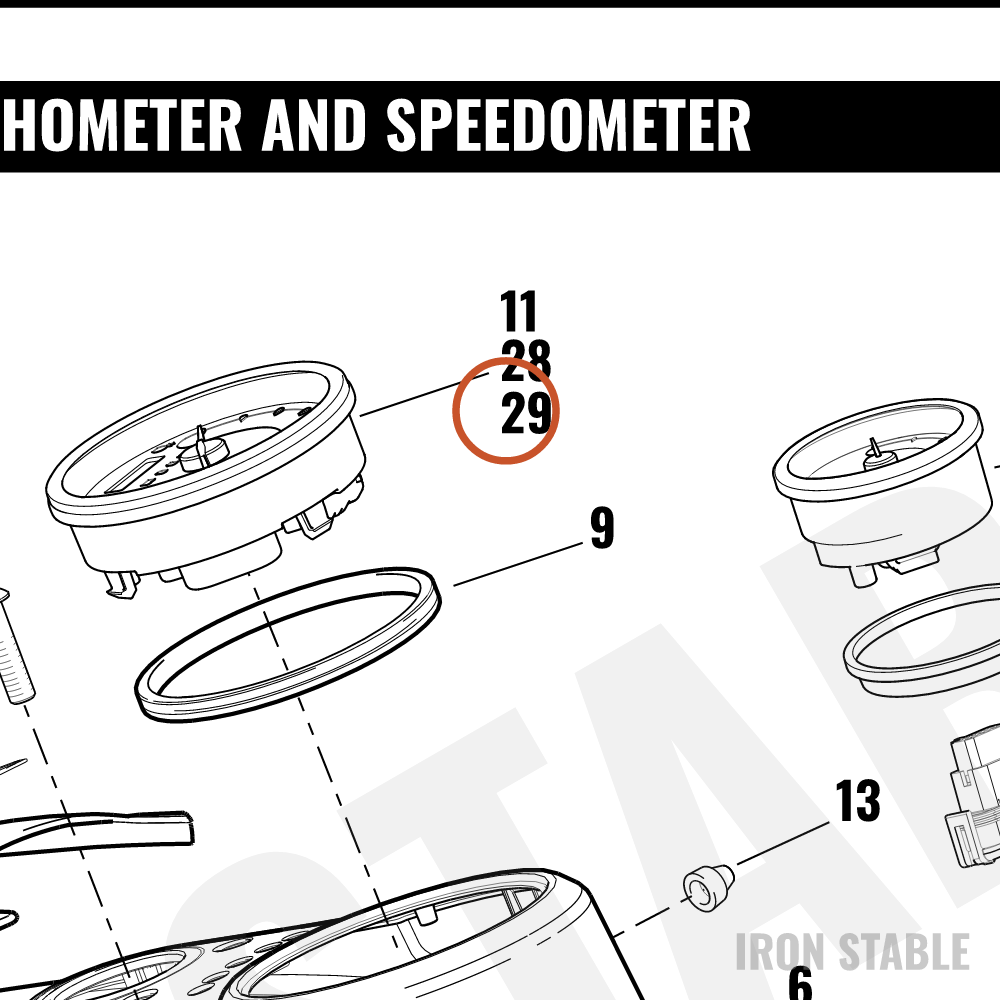 Harley-Davidson Speedo, Dual