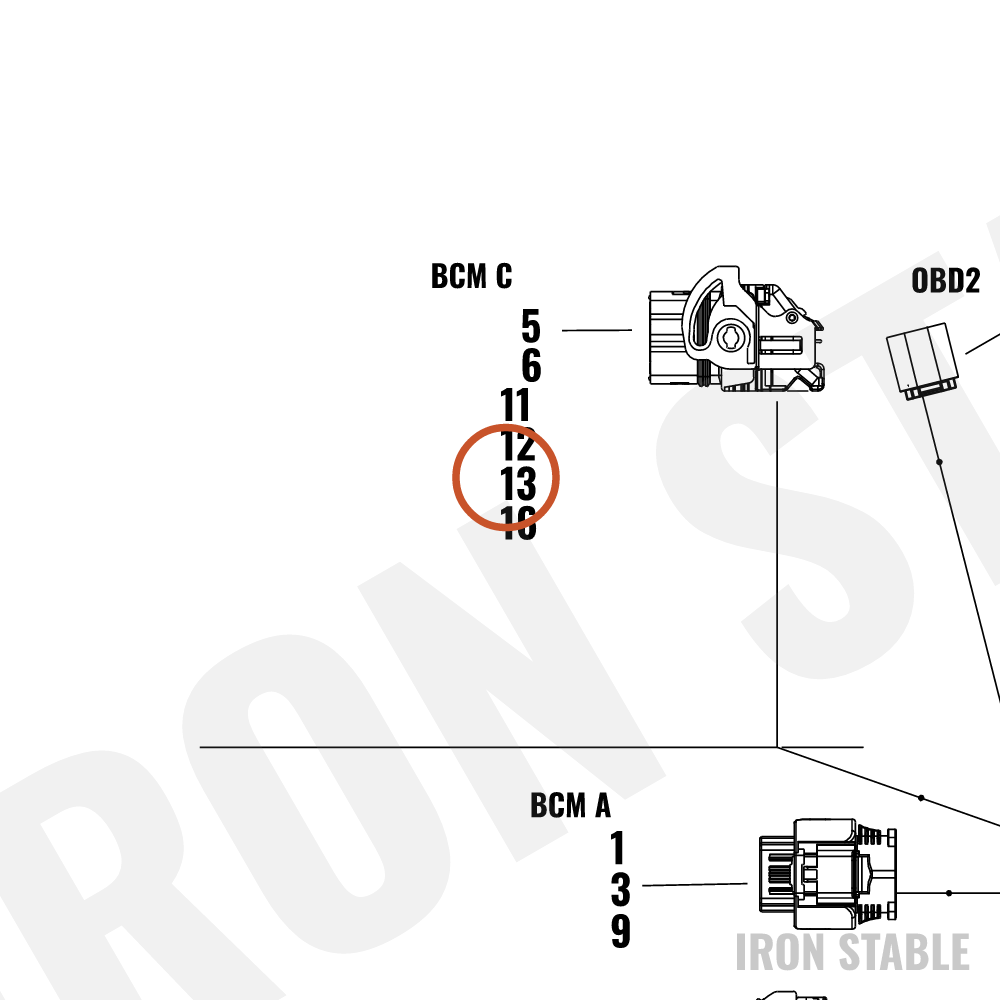 Harley-Davidson Wire Harn Sub-Component, Connector