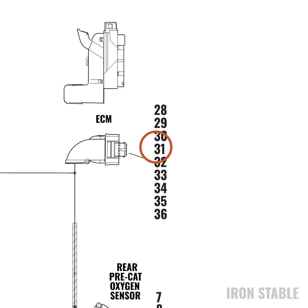 Harley-Davidson Connector, Cavity Plug, 0.64mm C