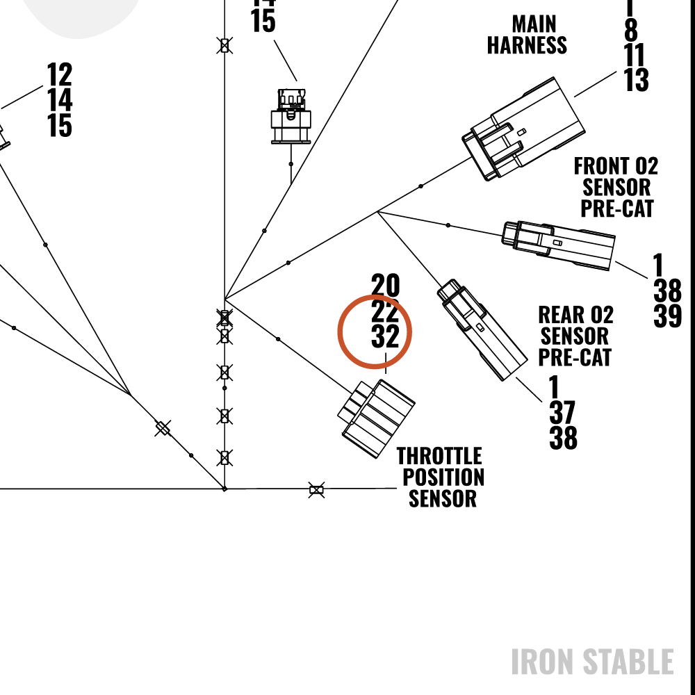 Harley-Davidson Wire Harn Sub-Component, Bcm Caddy