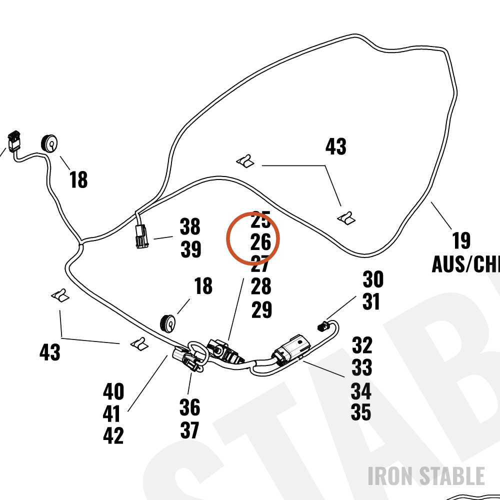Harley-Davidson Wire Harn Sub-Component, Secondary