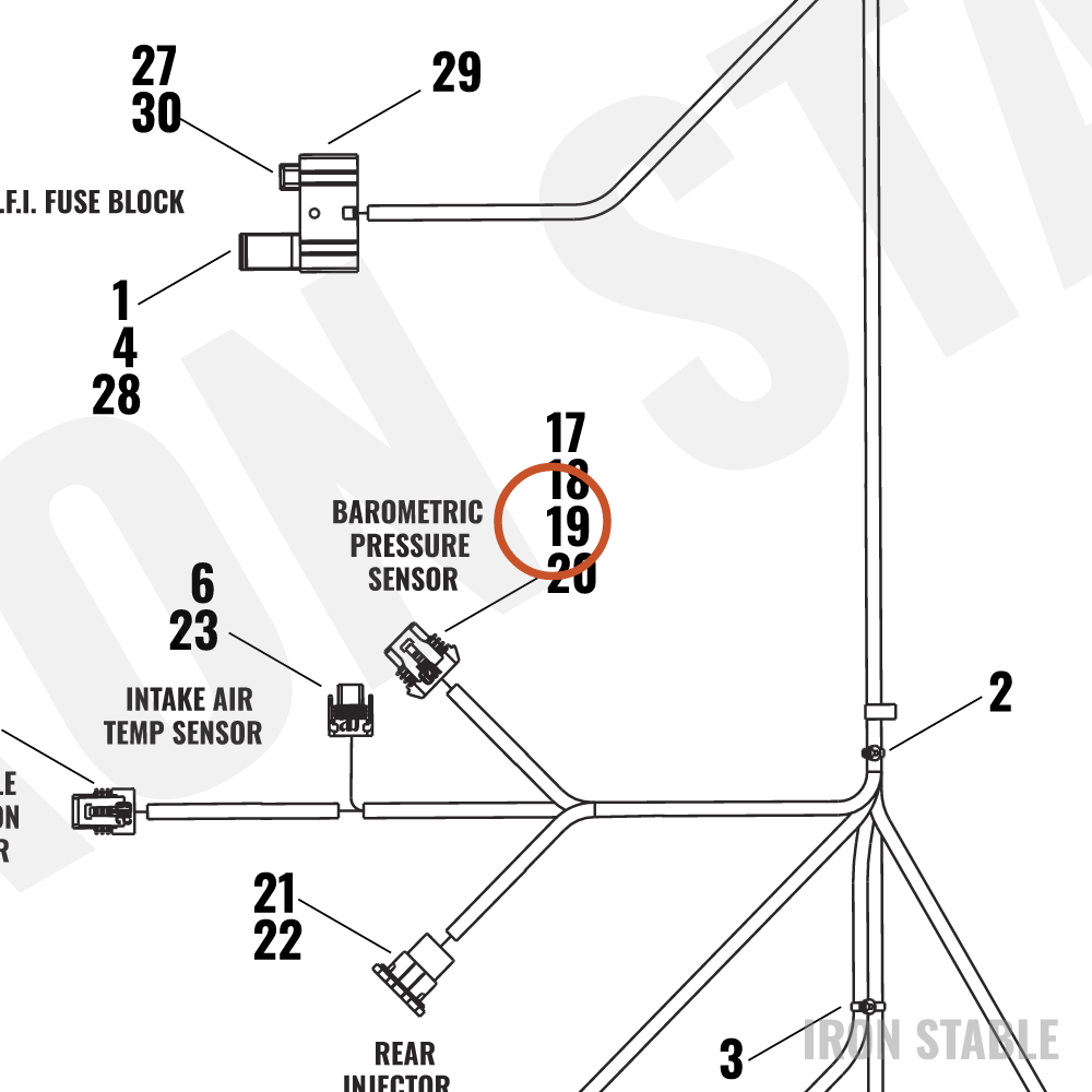 Harley-Davidson Wire Harn Sub-Component, X