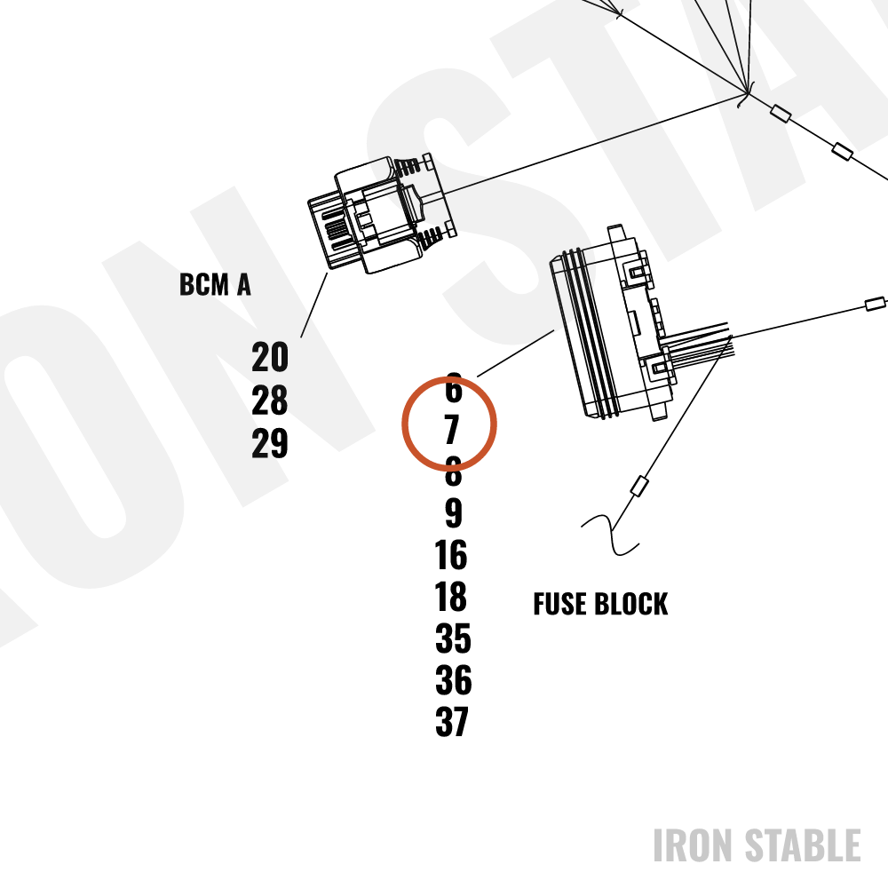 Harley-Davidson Cavity Plug