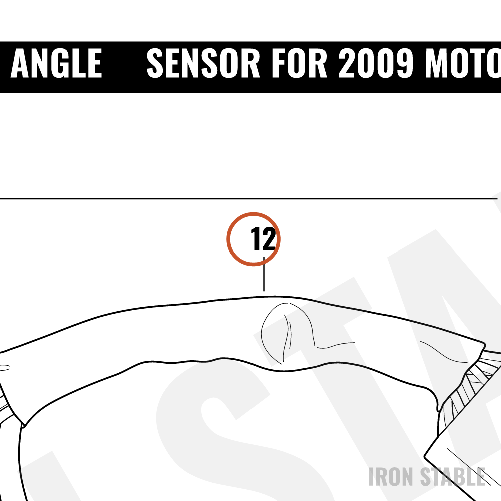 Harley-Davidson Harness, Bank Angle Sensor