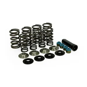 Manley Manley, valve spring kit. Titanium. Std to .650" lift