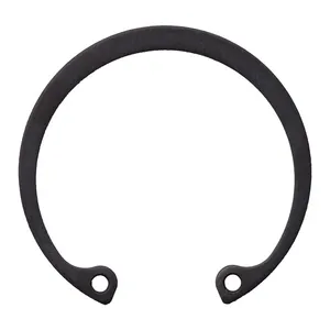 MCS Retaining ring, generator bearing