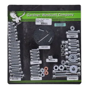 Gardner-Westcott Motor screw sets, chrome allen