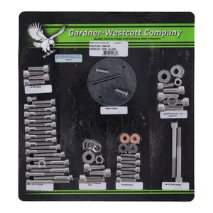 Gardner-Westcott Motor screw set, ss allen