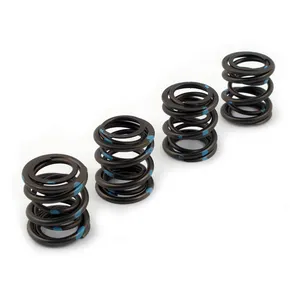 Andrews Andrews, valve spring set. .600" high lift