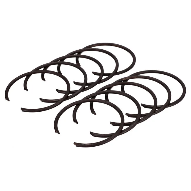 MCS Retaining rings - 24779-55