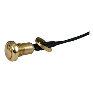 MCS Smooth push button switch. Polished brass