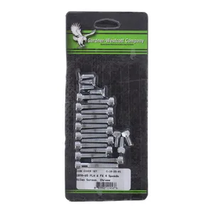 Gardner-Westcott Big Twin side cover mount kit, chrome allen