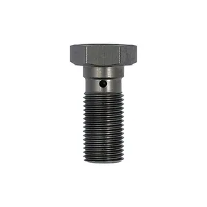 TRW TRW Banjo Bolt titanium anodized M10x1.00