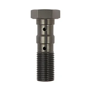 TRW TRW double Banjo Bolt titanium anodized M10x1.00