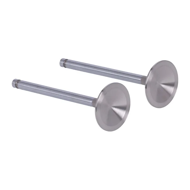 Manley Severe Duty stainless valves, intake. STD