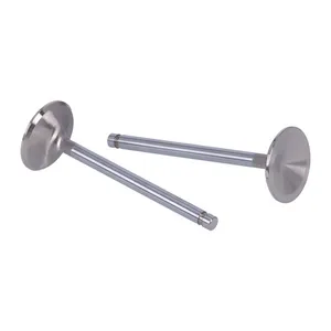Manley Manley, Severe Duty stainless valves, intake. STD