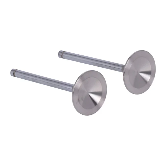 Manley Severe Duty stainless valves, intake. STD