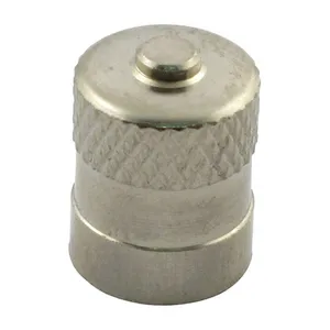 MCS Valve stem cap 24