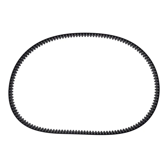 Belt Drives Ltd. BDL, repl. primary belt. 3", 8mm pitch, 141T