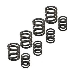 Kibblewhite Kpmi, Sportster valve spring set