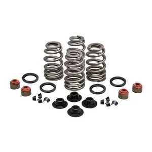Kibblewhite KPMI, Beehive valve spring kit. Steel. .660" lift
