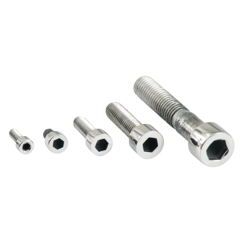 Gardner-Westcott M10 x 55mm allen bolt, pol. stainless