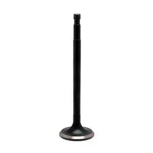 Kibblewhite KPMI, Black Diamond intake/exhaust valve