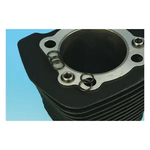 James Gaskets James o-ring, cylinder dowel