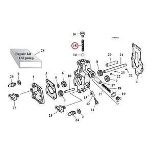 MCS Spring, check valve