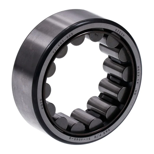 S&S BEARING PINION 00-07TC