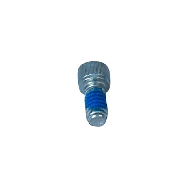 S&S Air cleaner backplate screw