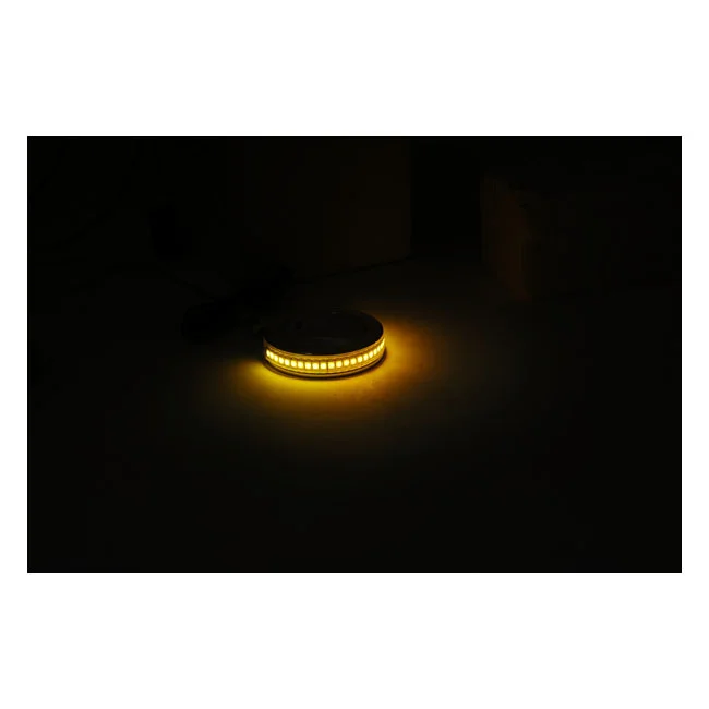 Custom Dynamics Dynamics Eclipze® LED fork wrap around turn signal