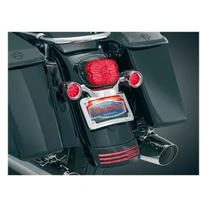 Kuryakyn Kuryakyn, curved license plate mount. Chrome